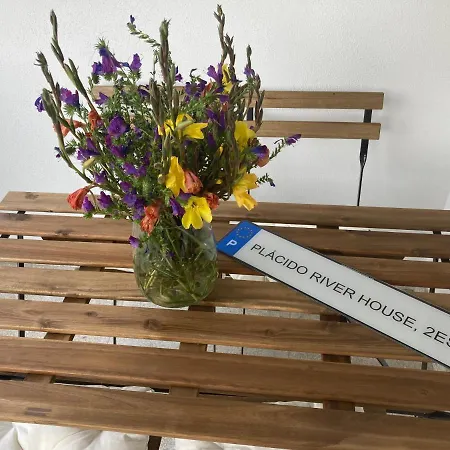 شقة Placido River House